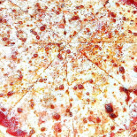 Pizza Familly The Best Mâncare
