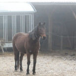 Stagioni Restaurant Boisson