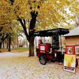 Coffee Bike Exterior