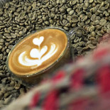 Cana Floreasca Bebida