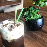 Cana Floreasca Bebida