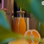 Yoyo Cafe À l'intérieur