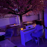 Shibuya Coffee În interior