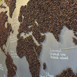 Amazoniq Specialty Coffee Șincai Meniu