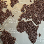 Amazoniq Specialty Coffee Șincai Meniu