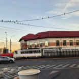 Amazoniq Specialty Coffee Șincai Exterior