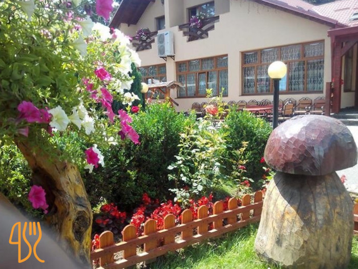 Pensiunea Rustic Exterior