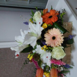 Maliv Catering Dentro