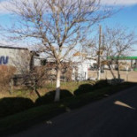 Non Stop Beno Oil Exterior