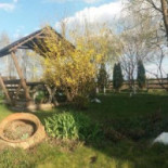 Țara Bârsei Nourriture