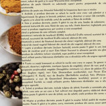 Noblesse Pizzerie Mâncare
