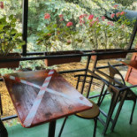 Maimuta À l'intérieur