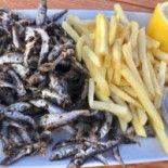 Terasa Zolcsak Comida