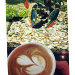 Jurnal Cafe Nourriture