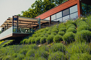 Rivo Restaurant & Lounge