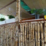 Szilagyi À l'intérieur