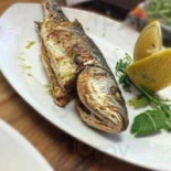 Amster's Beach Seafoods Nourriture