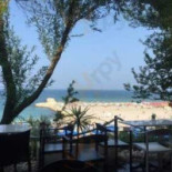 Steaua De Mare Nourriture