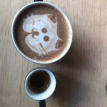 Haute Cup Tomis 67 Nourriture