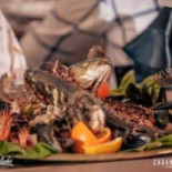 Cabana Stejarilor Nourriture