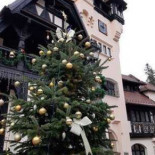 Carol Gastro Bierhaus Mâncare