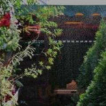 VILLA BORGHESE Comida