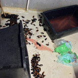 Pofta Pescarului food