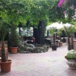 Terasa Colonadelor Dentro