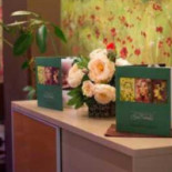 Mon Chateau Extérieur