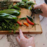 KANE World Food Studio Comida