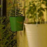 La UN Ceai Extérieur