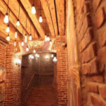 Ursul Carpatin Nourriture