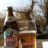 Porto Arte Nourriture