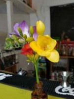 Faust Cafe und Disko À l'intérieur