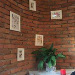 Ma Cocotte Extérieur