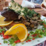 Ursul Carpatin Nourriture