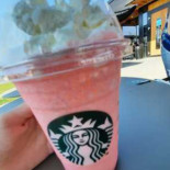 Starbucks Mâncare