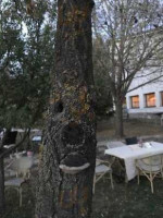 Hanul Moara Veche À l'intérieur