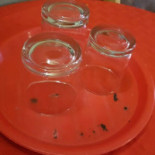 Cabana Cerbu Nourriture