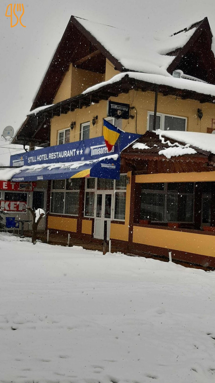 Still -lintesti Exterior