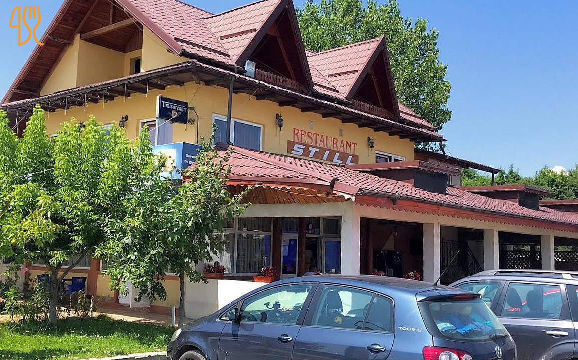 Still -lintesti Exterior
