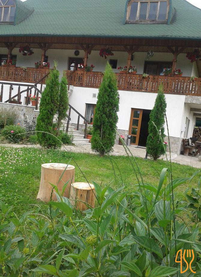 Conacul Domnitei Pensiune Voronet Exterior