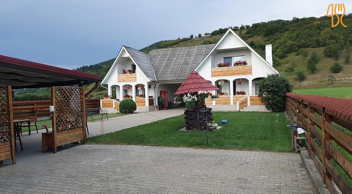 Pensiunea Domnika Exterior