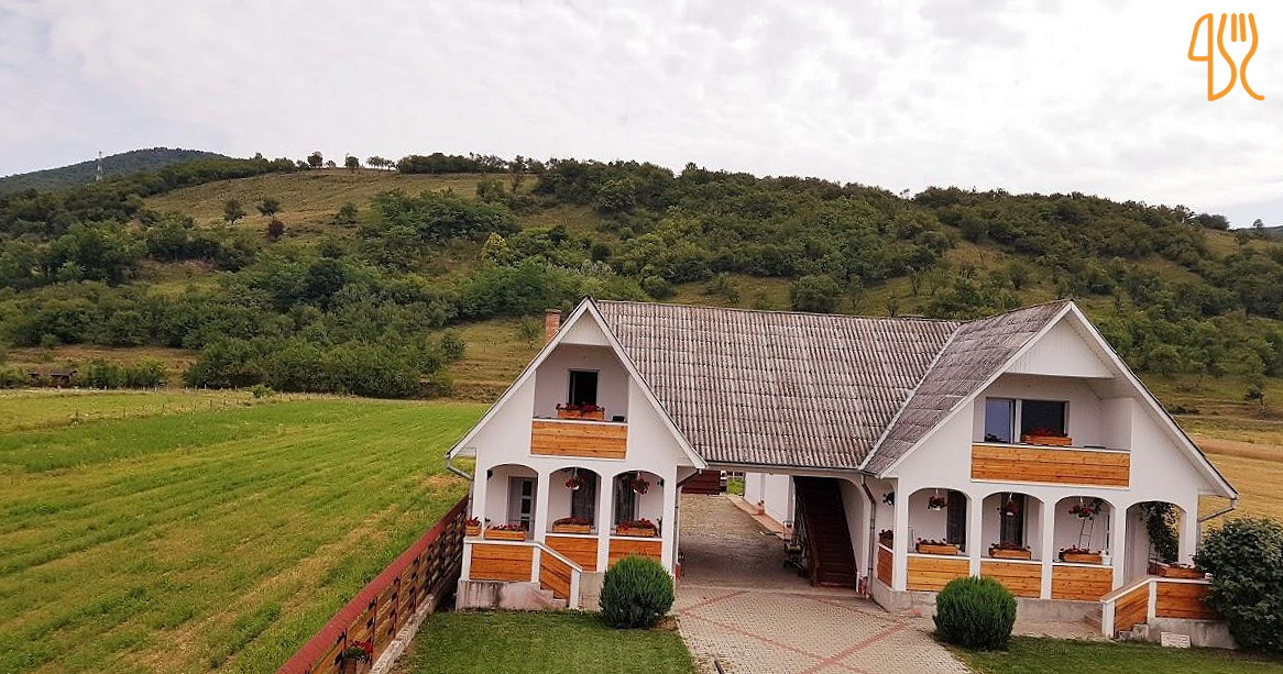 Pensiunea Domnika Exterior
