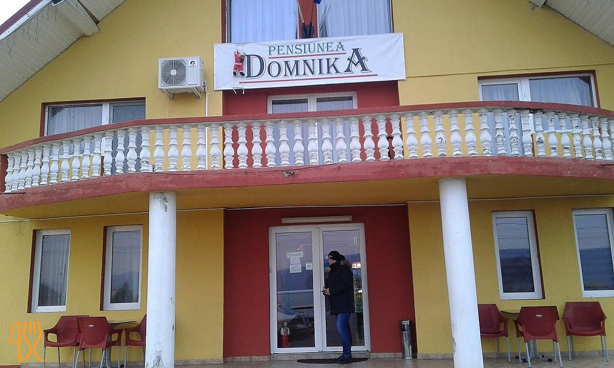Pensiunea Domnika Exterior