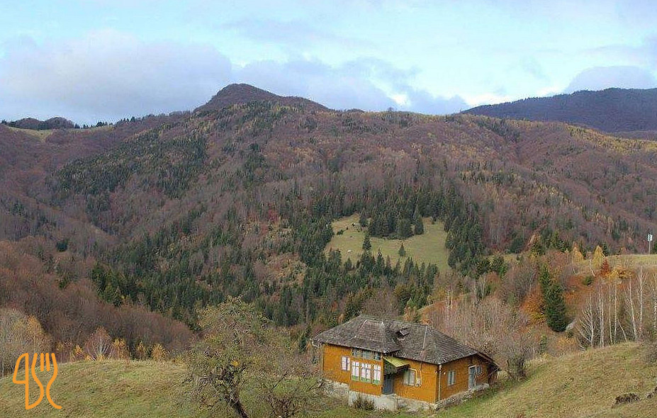 Pensiunea Dealul Sasului Exterior