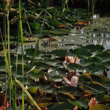 Locanda 55 Extérieur