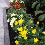 Venezzia Cafe Extérieur