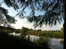 Salonul Din Padure Exterior