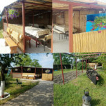 Casa Stejarului Ingenuncheat Extérieur